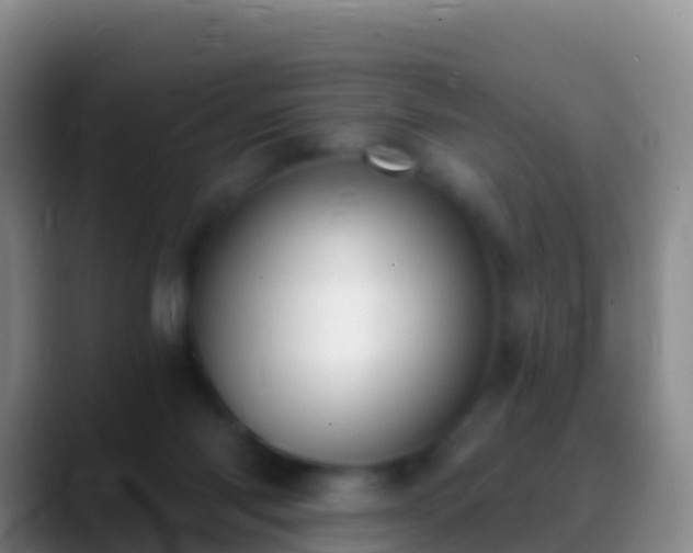 X0000088920118200706151932