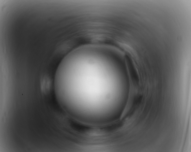 X0000088920123200706151932