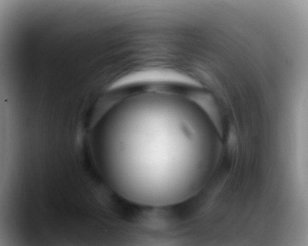 X0000088920125200706151932