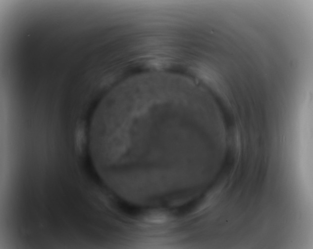 X0000088920127200706151932