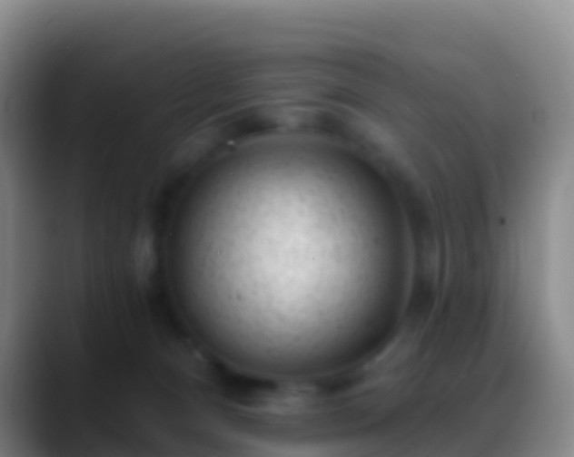 X0000088920128200706151932