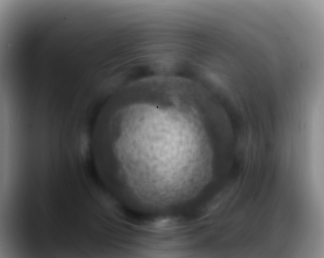 X0000088920130200706151932