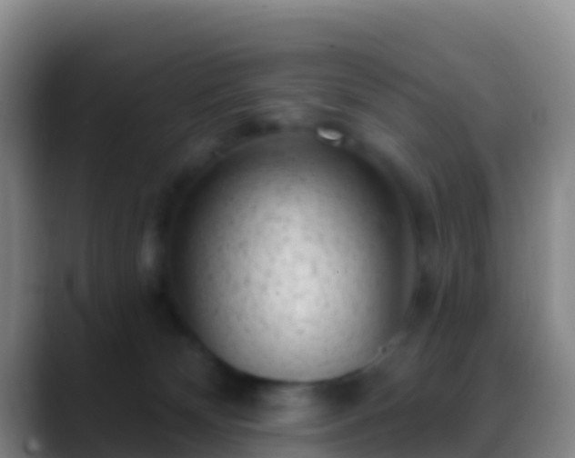 X0000088920132200706151932