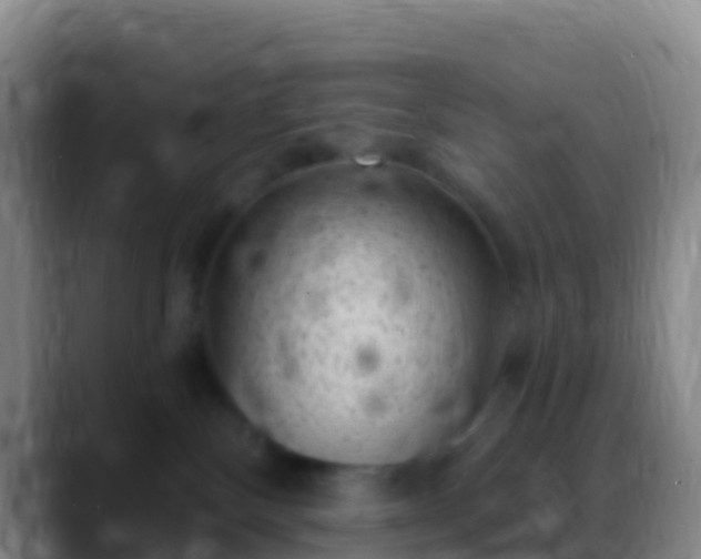 X0000088920136200706151932