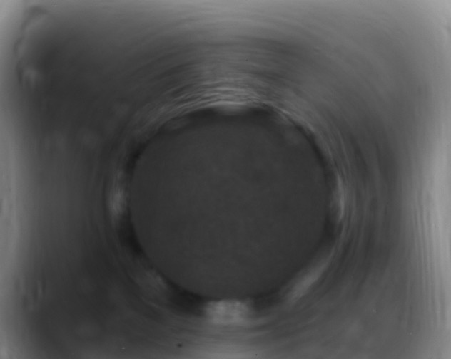 X0000088920137200706151932