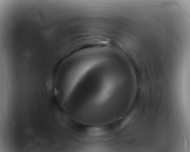 X0000088920139200706151931