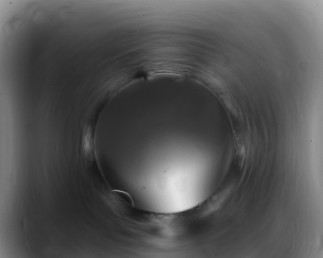 X0000088920143200706151931