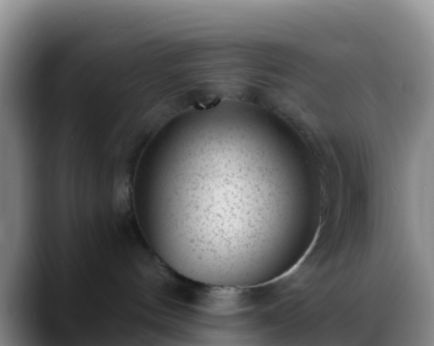 X0000088920144200706151931