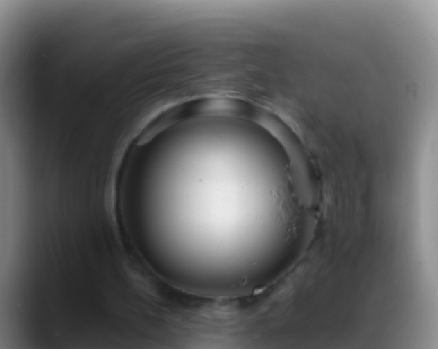 X0000088920148200706151931