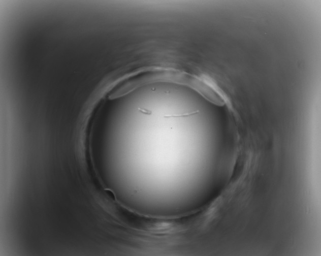 X0000088920151200706151931