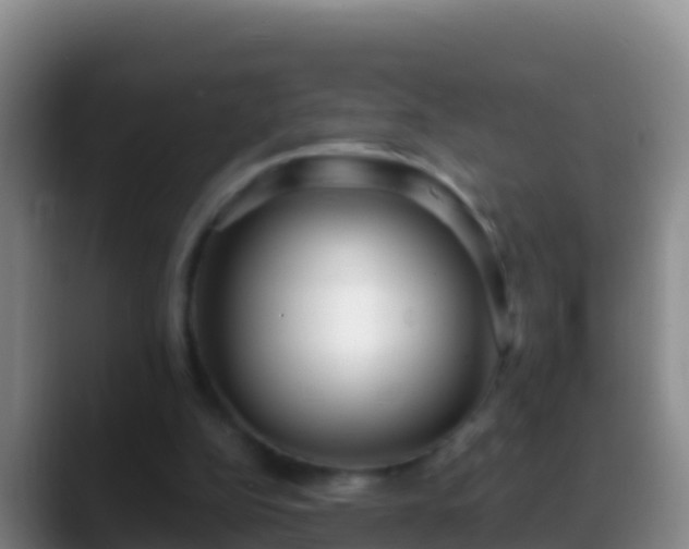X0000088920152200706151931