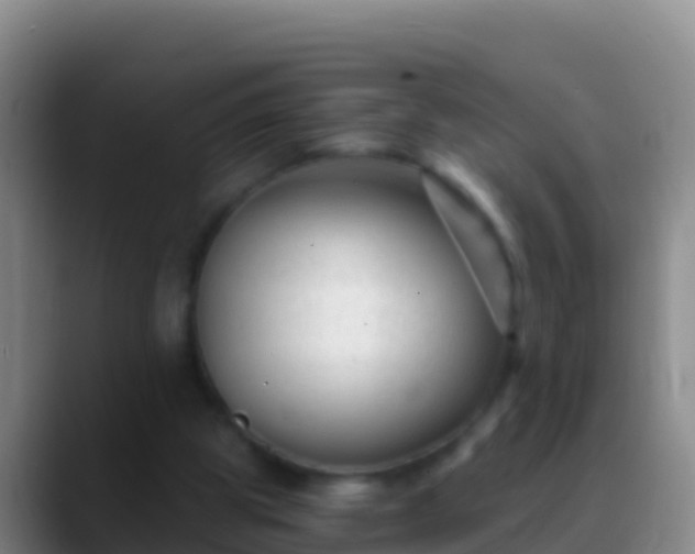 X0000088920153200706151931