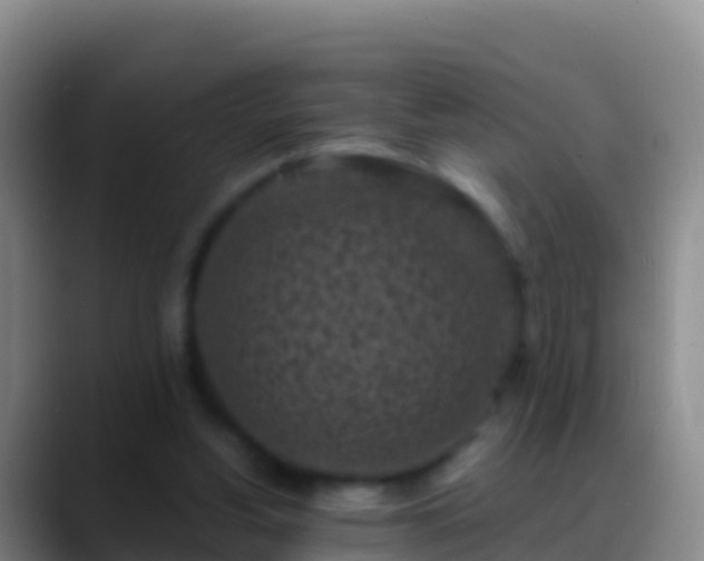 X0000088920156200706151931