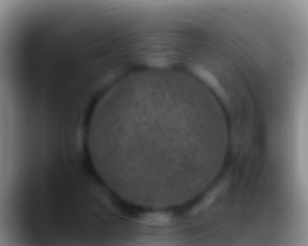 X0000088920161200706151931