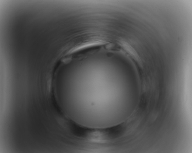 X0000088920163200706151931
