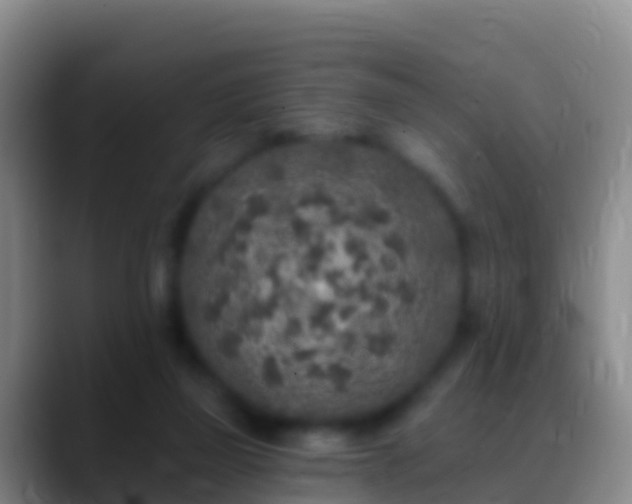 X0000088920165200706151931