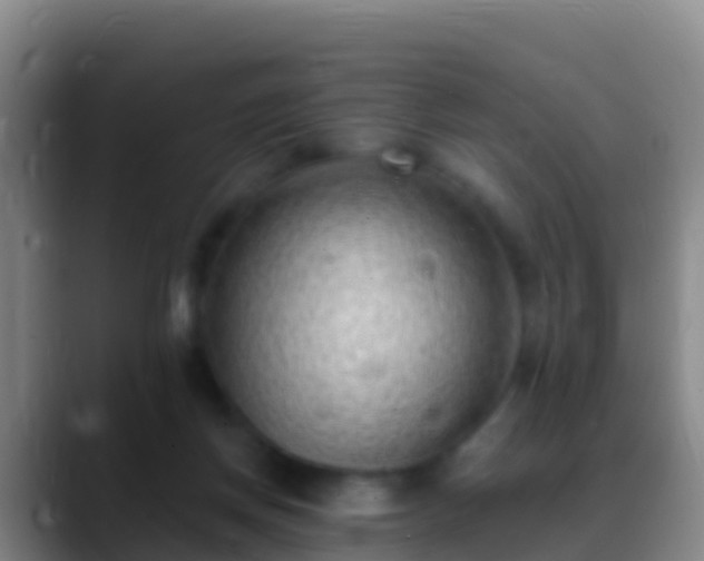 X0000088920166200706151931