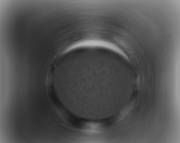 X0000088920168200706151931