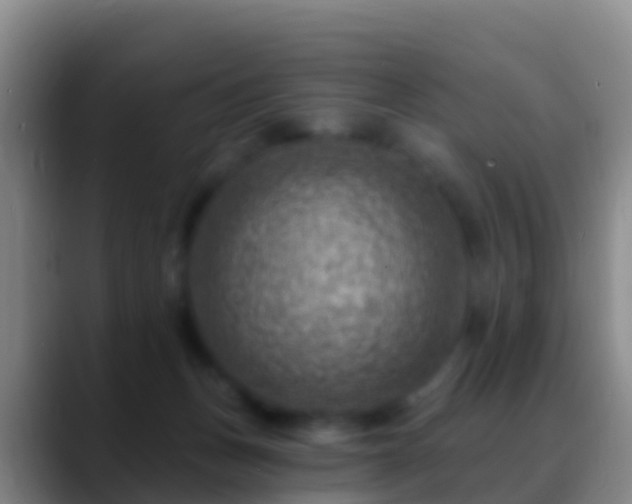 X0000088920175200706151931