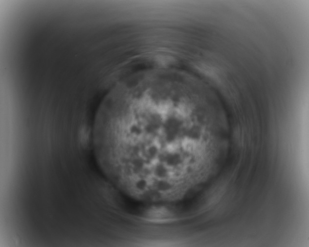 X0000088920177200706151931
