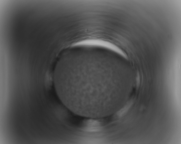 X0000088920180200706151931