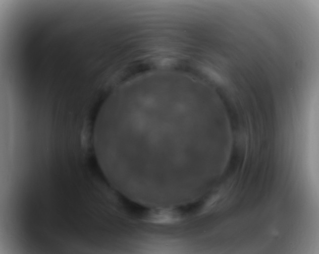 X0000088920181200706151931