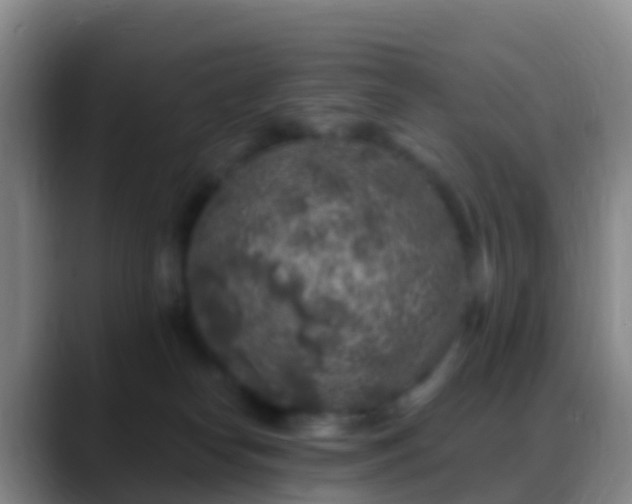 X0000088920182200706151931
