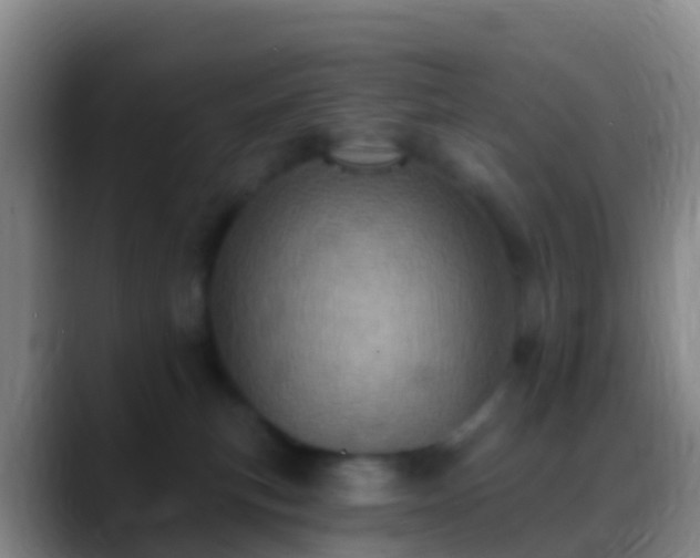 X0000088920183200706151931