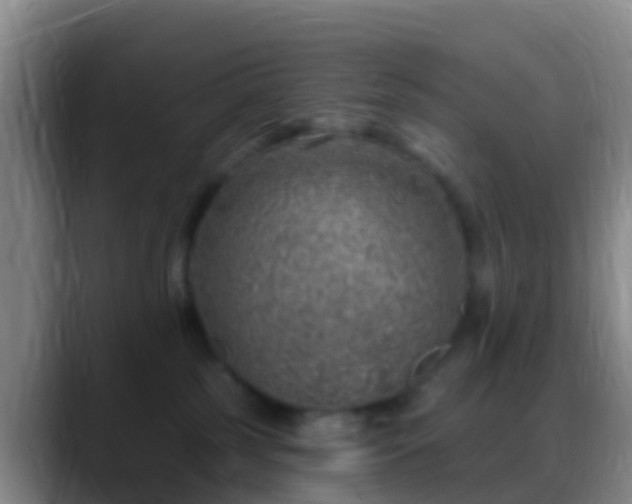 X0000088920185200706151931