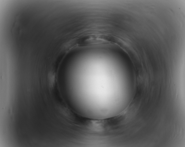 X0000088920188200706151931