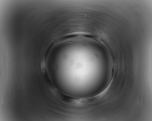 X0000088920190200706151931