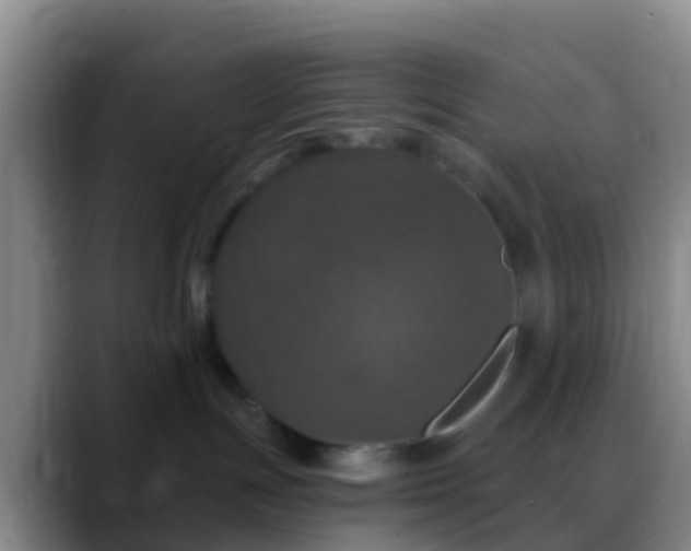X0000088920191200706151931