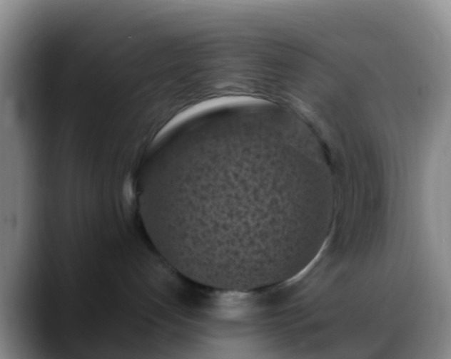 X0000088920192200706151931
