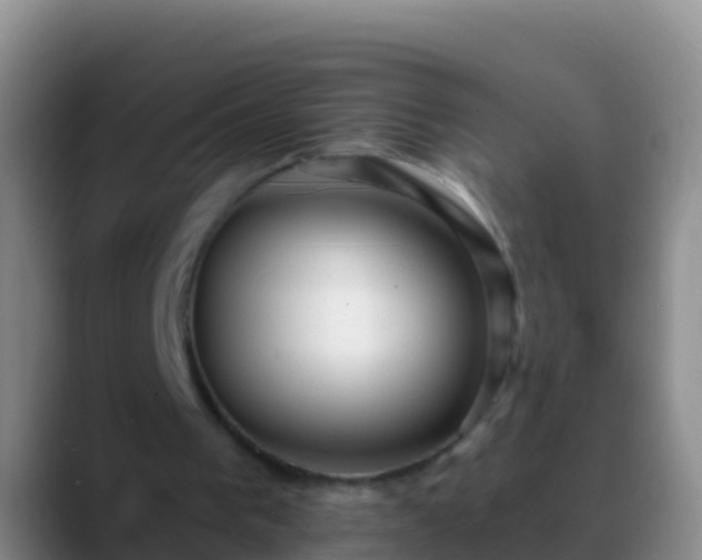 X0000088920193200706151931