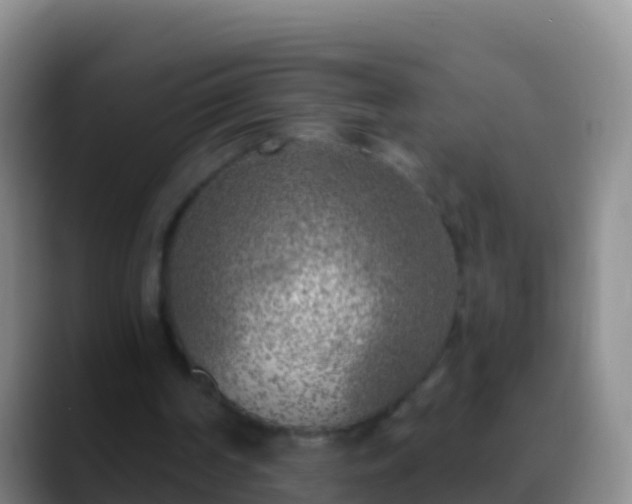 X0000088920194200706151931
