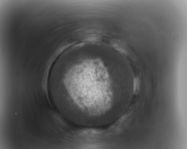 X0000088920195200706151931