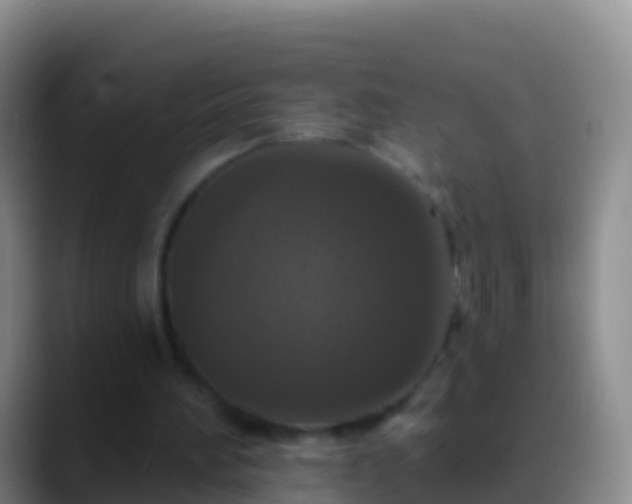 X0000088920196200706151931
