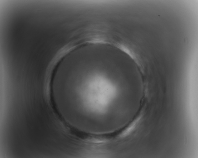 X0000088920199200706151931