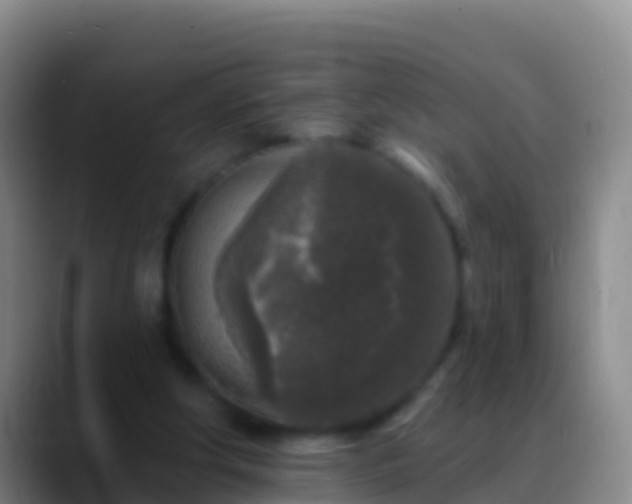 X0000088920202200706151931