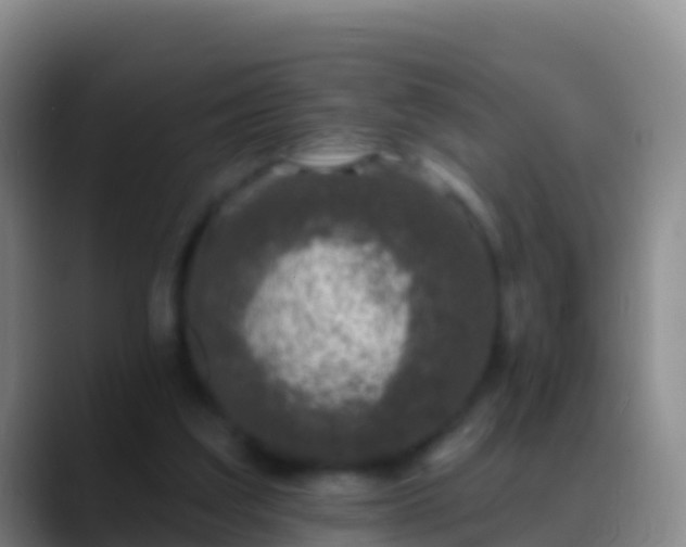 X0000088920203200706151931