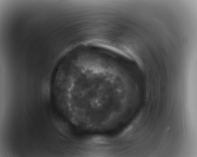 X0000088920204200706151931