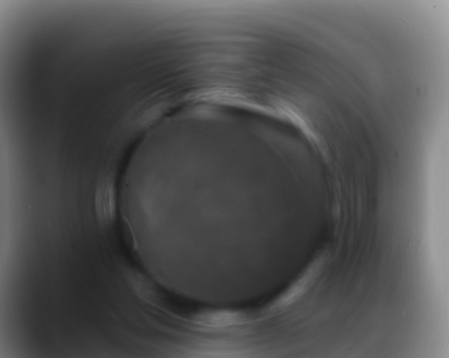 X0000088920205200706151931