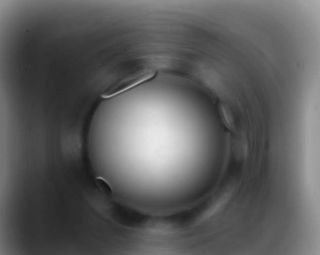 X0000088920207200706151931
