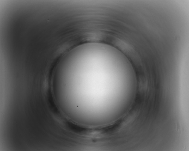 X0000088920208200706151931