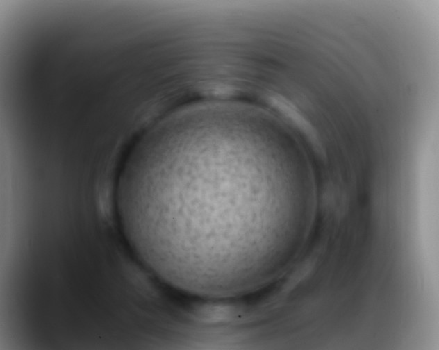 X0000088920209200706151931