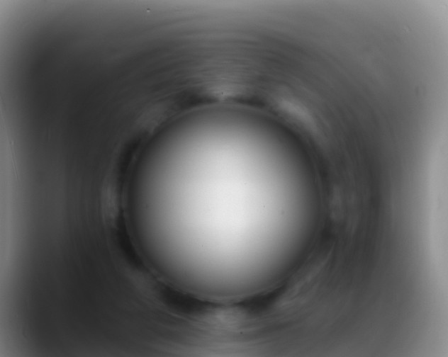 X0000088920210200706151931