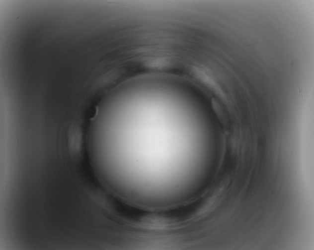 X0000088920211200706151931