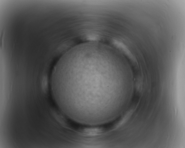 X0000088920213200706151931