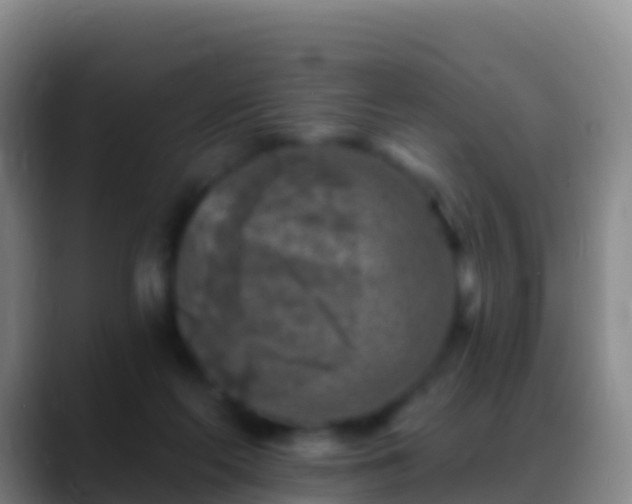 X0000088920214200706151931