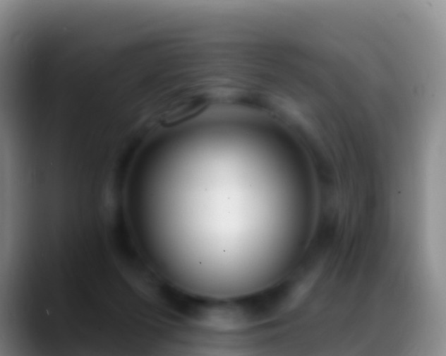 X0000088920215200706151931